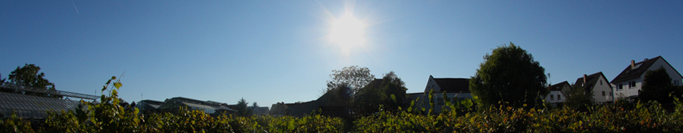 IMG_8883_header